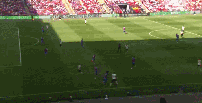维尔茨雨果.gif